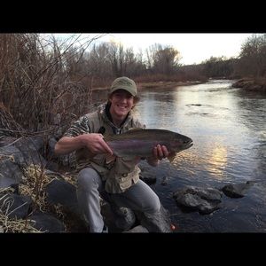 Meet your Posher, Jake